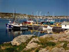 Joe Batt's Arm